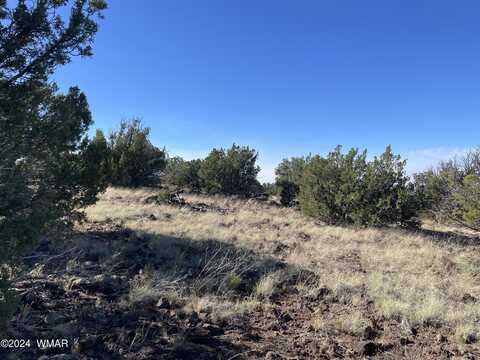 12 County Road, Concho, AZ 85924