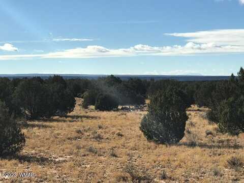 Tbd Lot 240 Sierra Mountain Ranch, Saint Johns, AZ 85936