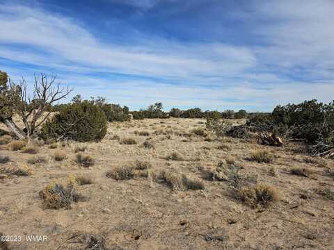 Tbd County Rd. N7200, Saint Johns, AZ 85936