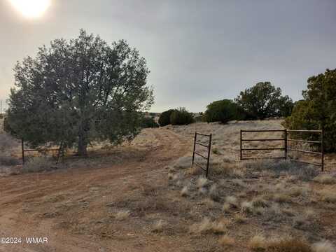 Tbd S Arena Estates Drive, Taylor, AZ 85939