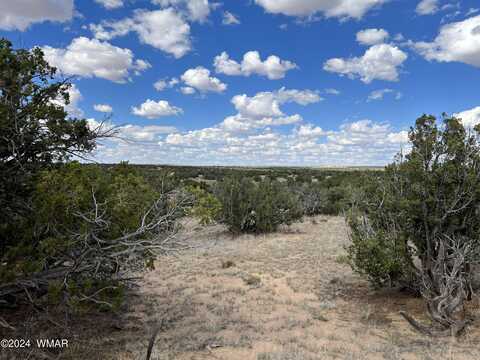 None G-Bar Ranch, Saint Johns, AZ 85936