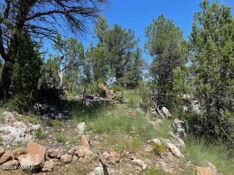 2252 Mulligan Drive, Overgaard, AZ 85933