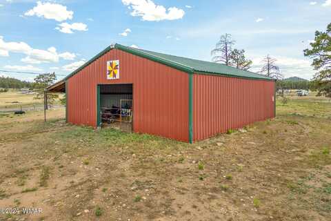 42856 US Highway 180, Alpine, AZ 85920