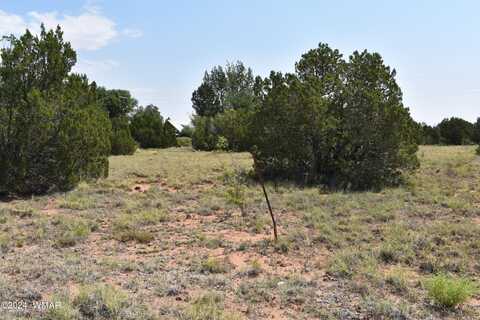 72 Dawn Lane, Concho, AZ 85924