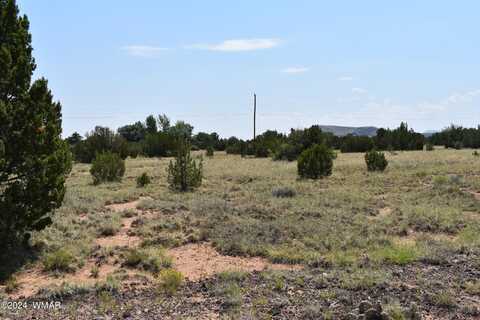 74 Evergreen Lane, Concho, AZ 85924