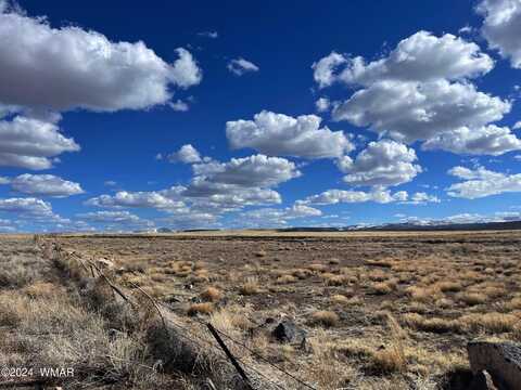 Tbd Highway 60, Springerville, AZ 85938