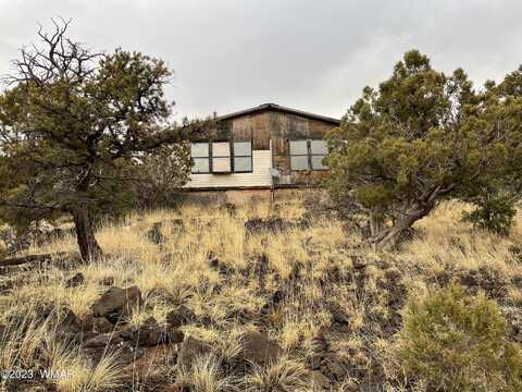 41 County Rd # 8296, Concho, AZ 85924