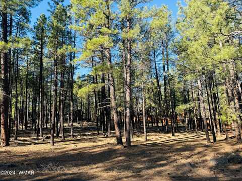 2936 Blue Lake Circle, Pinetop, AZ 85935