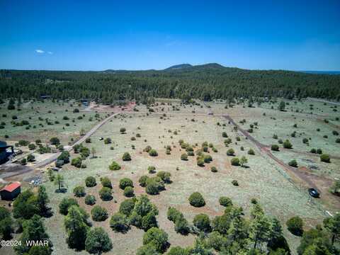 8a Lone Horseman, Lakeside, AZ 85929