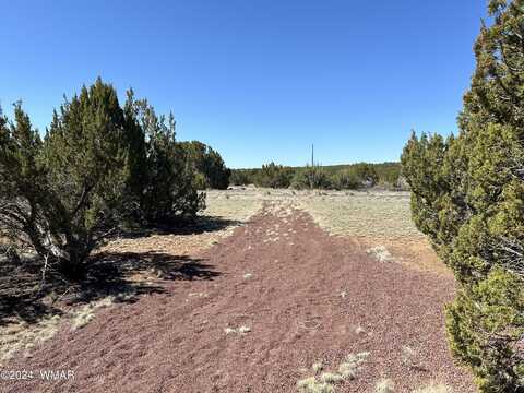 35 Green Drive, Concho, AZ 85924