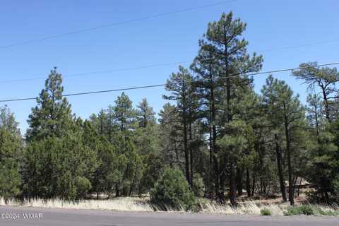 16th Ave 18.2 ACRES, Show Low, AZ 85901