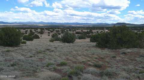 24 County Road 8009, Concho, AZ 85924