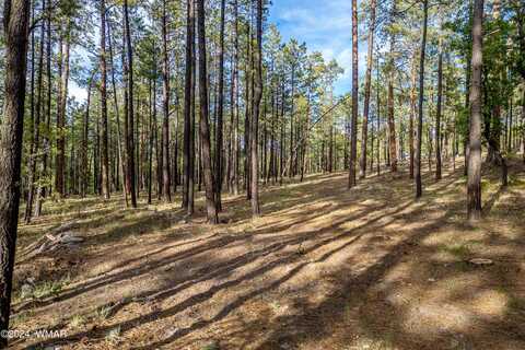 15 County Road 2083, Alpine, AZ 85920