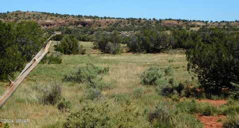 Tbd County Road 8439, Concho, AZ 85924