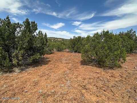 44 Co Road, Concho, AZ 85924