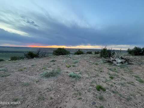 Lot 69 Judy Lane, Saint Johns, AZ 85936