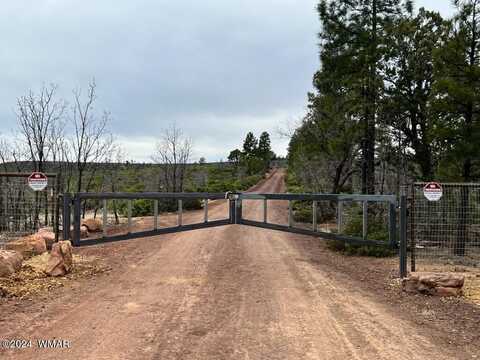 Lot 015 Fieldy Road, Show Low, AZ 85901