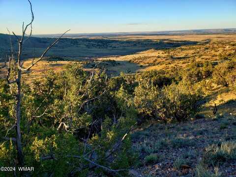 114 County Road, Concho, AZ 85924