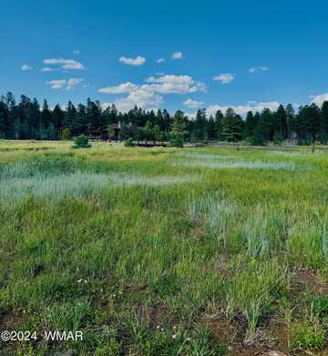 9580 Sierra Springs Drive, Pinetop, AZ 85935