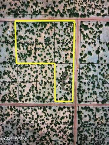 45 County Road 8236, Concho, AZ 85924