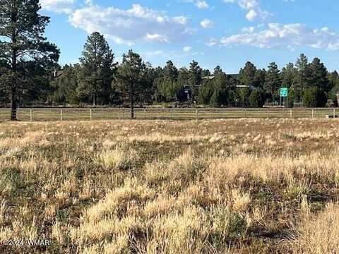 Tbd Quarter Horse Trail, Overgaard, AZ 85933