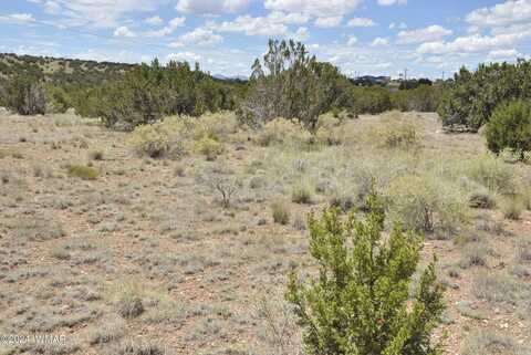 372 County Rd 5064, Concho, AZ 85924