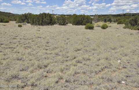 373 County Rd 5064, Concho, AZ 85924