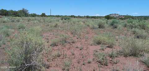 7 CR 8277 Road, Concho, AZ 85924