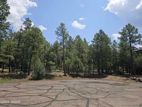 933 Lake Shore Drive, Lakeside, AZ 85929