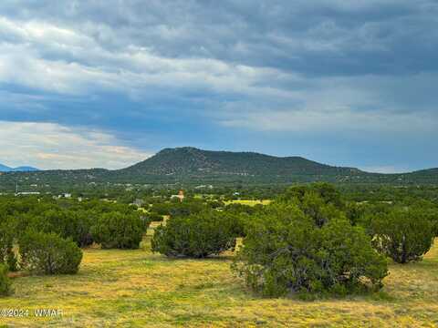 4 Co Rd 3049, Concho, AZ 85924