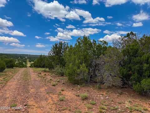 26 Co Rd 3048, Concho, AZ 85924