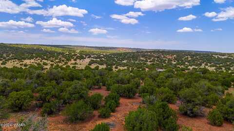 22 Co Rd 3048, Concho, AZ 85924