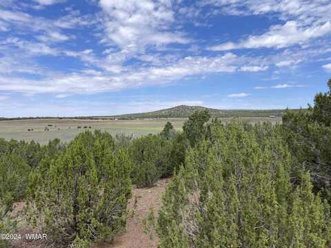 77 Navajo Drive, Concho, AZ 85924