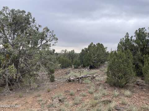 1 CR 8117, Concho, AZ 85924