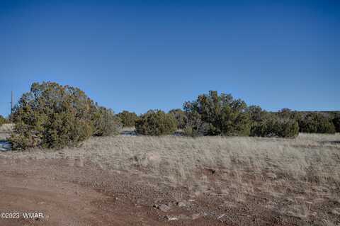 2457 Bourdon Ranch Road, Show Low, AZ 85901