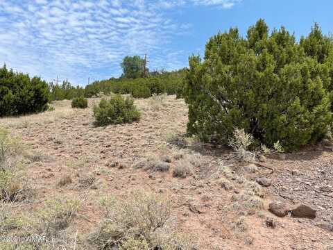 60 N Udall Street, Eagar, AZ 85925