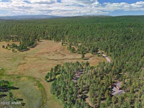 1a FOREST ROAD 26, Alpine, AZ 85920