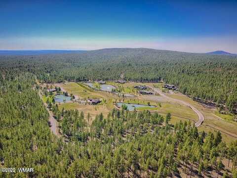 9579 Sierra Springs Drive, Pinetop, AZ 85935