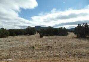 23 CR 8021, Concho, AZ 85924