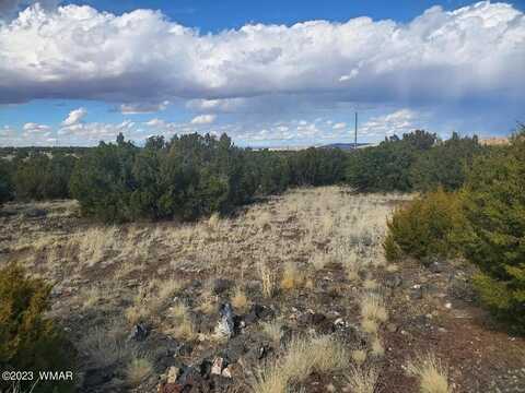 Tbd CR 5166, Concho, AZ 85924