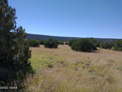 43 County Rd 8014, Concho, AZ 85924