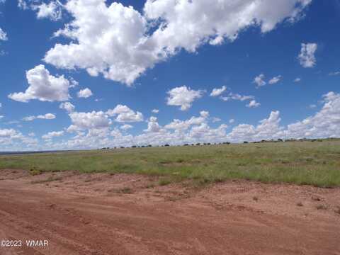 Tbd acr N9125/RANCH RD, Concho, AZ 85924