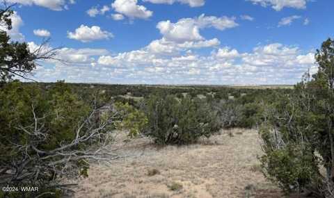 Lot 99 Woodland Valley Ranch, Saint Johns, AZ 85936