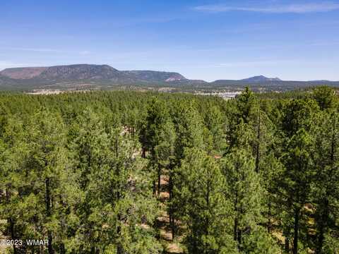 13 County Road N 2122, Alpine, AZ 85920