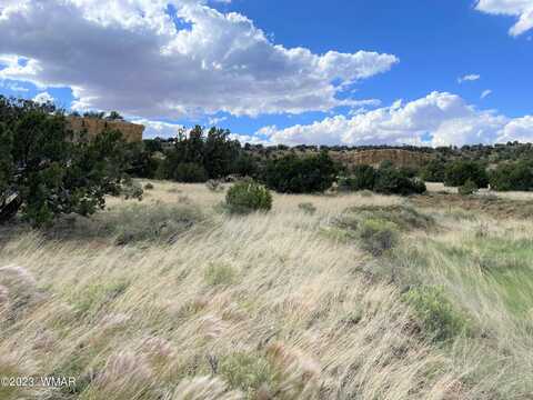 5 County Road 8024, Concho, AZ 85924