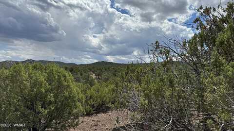 35716 AZ-61, Concho, AZ 85924