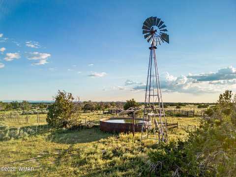 3,426 Acres - Sandlot Ranch, Saint Johns, AZ 85936