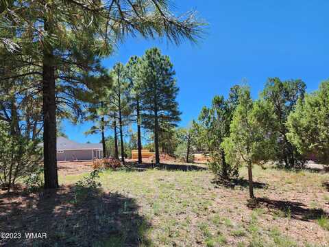 701 S Bushman, Show Low, AZ 85901