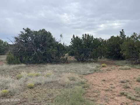 236 Colorado Avenue, Concho, AZ 85924