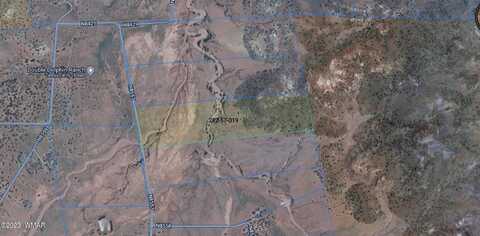 Tbd 38 Acres 2 Mesa Redondo Ranch, Concho, AZ 85924